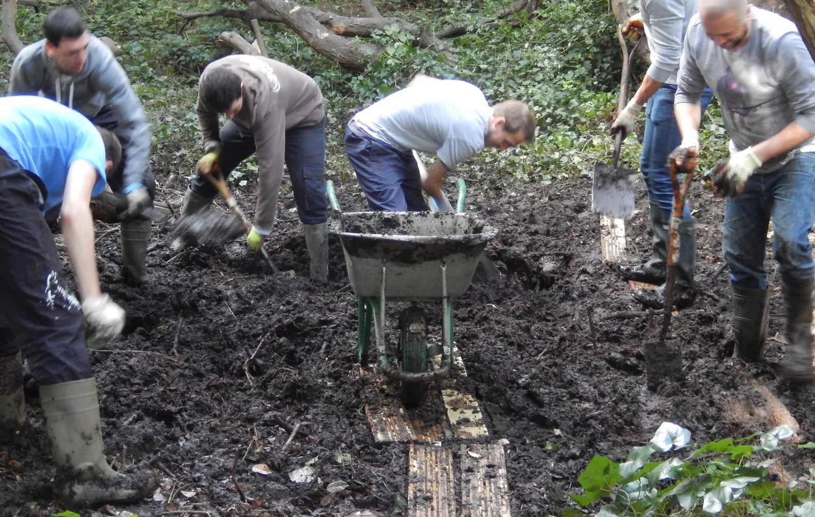 Conservation volunteers digging wet woodland with spades and a wheelbarrow